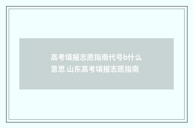 高考填报志愿指南代号b什么意思 山东高考填报志愿指南
