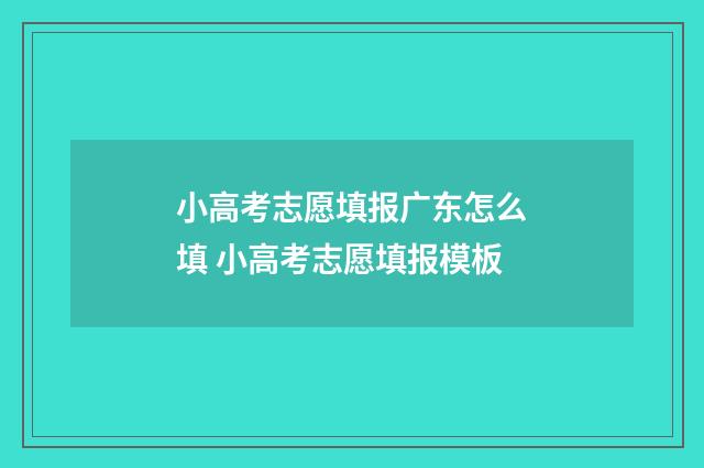 小高考志愿填报广东怎么填 小高考志愿填报模板