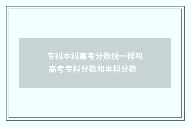 专科本科高考分数线一样吗 高考专科分数和本科分数