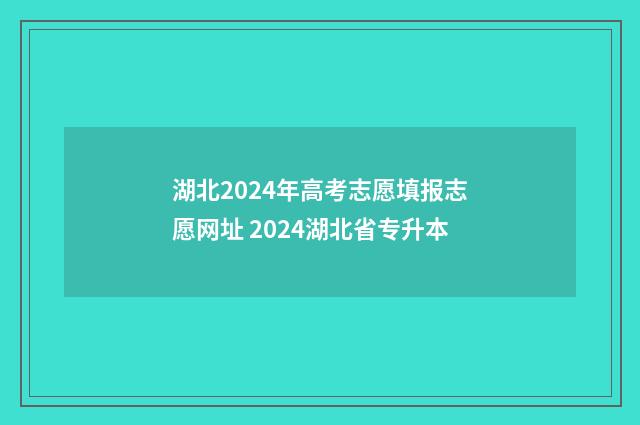 湖北2024年高考志愿填报志愿网址 2024湖北省专升本