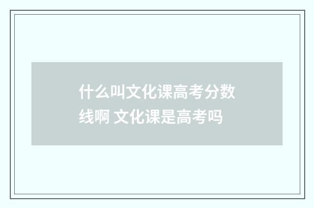 什么叫文化课高考分数线啊 文化课是高考吗