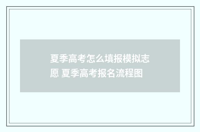 夏季高考怎么填报模拟志愿 夏季高考报名流程图