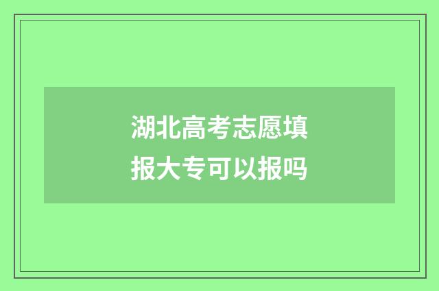湖北高考志愿填报大专可以报吗