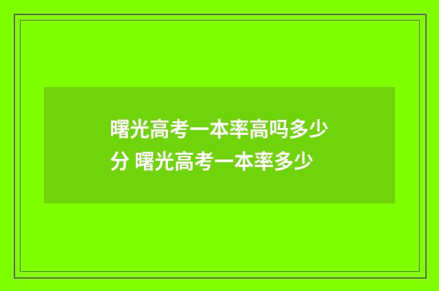 曙光高考一本率高吗多少分 曙光高考一本率多少