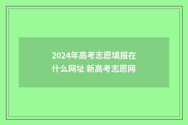 2024年高考志愿填报在什么网址 新高考志愿网
