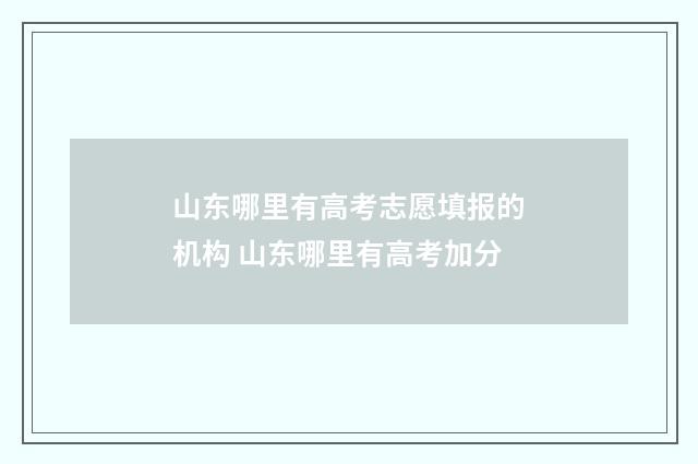 山东哪里有高考志愿填报的机构 山东哪里有高考加分