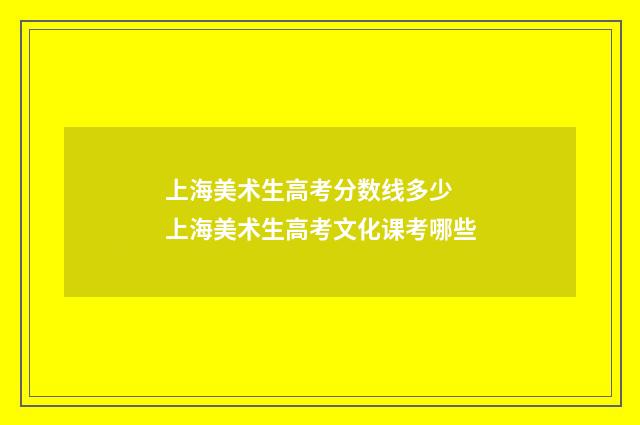 上海美术生高考分数线多少 上海美术生高考文化课考哪些