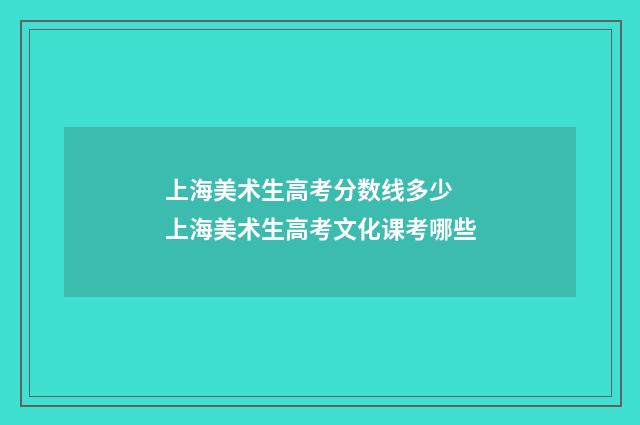 上海美术生高考分数线多少 上海美术生高考文化课考哪些