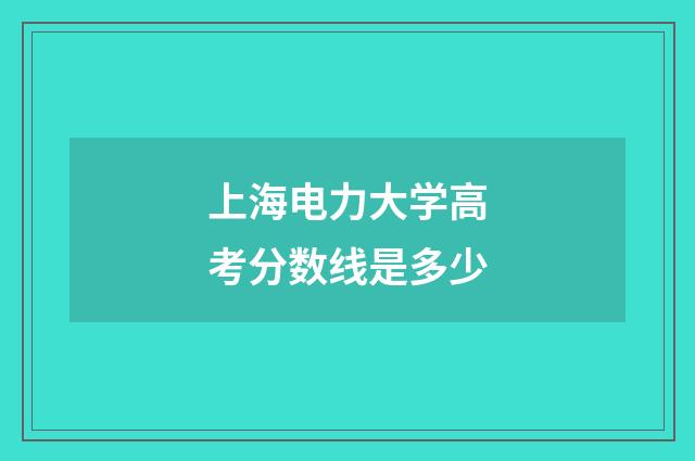 上海电力大学高考分数线是多少