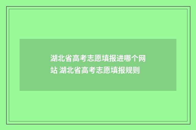 湖北省高考志愿填报进哪个网站 湖北省高考志愿填报规则