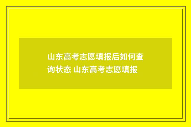山东高考志愿填报后如何查询状态 山东高考志愿填报
