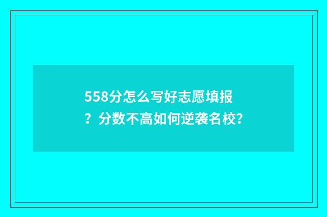 558分怎么写好志愿填报？分数不高如何逆袭名校？