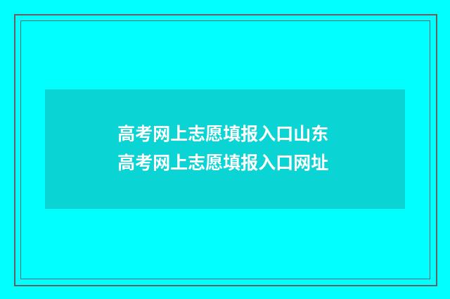 高考网上志愿填报入口山东 高考网上志愿填报入口网址