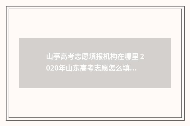 山亭高考志愿填报机构在哪里 2020年山东高考志愿怎么填报
