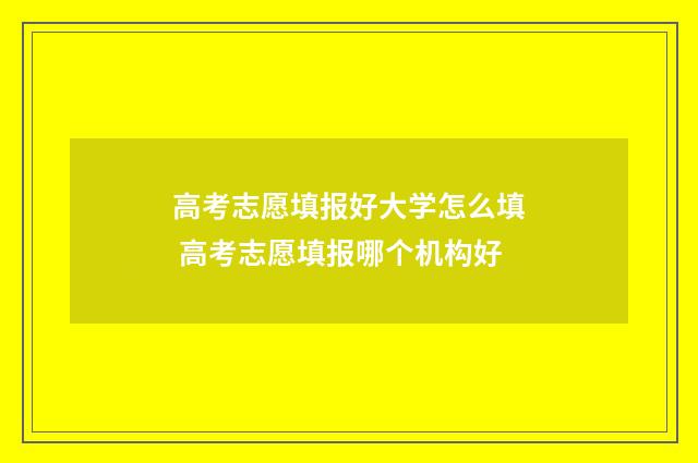 高考志愿填报好大学怎么填 高考志愿填报哪个机构好