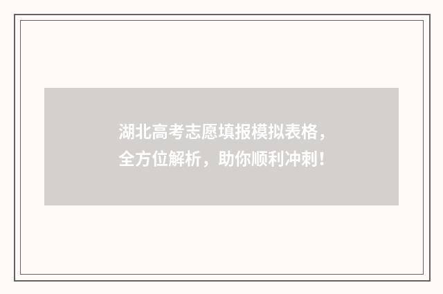 湖北高考志愿填报模拟表格，全方位解析，助你顺利冲刺！