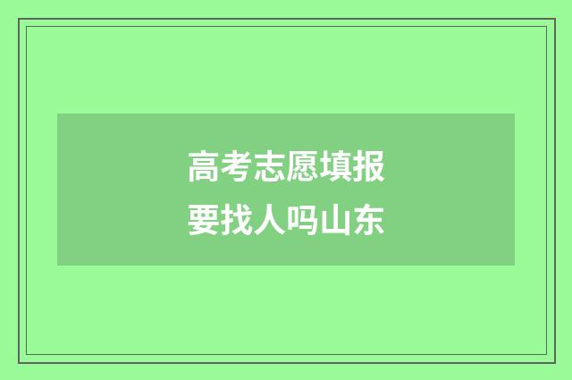 高考志愿填报要找人吗山东