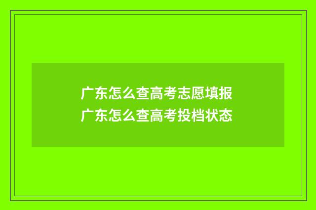 广东怎么查高考志愿填报 广东怎么查高考投档状态