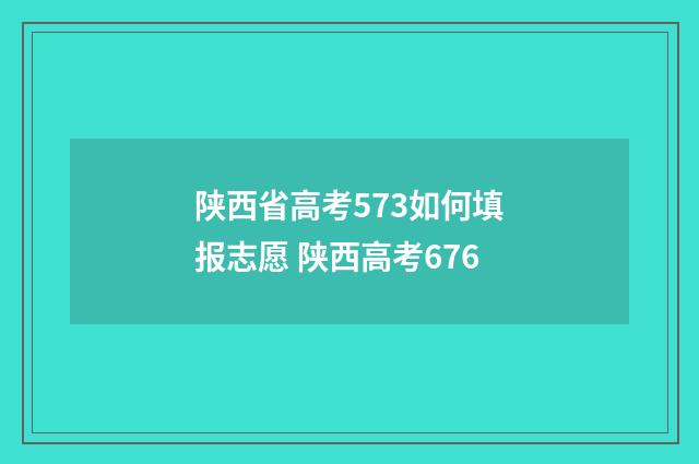 陕西省高考573如何填报志愿 陕西高考676