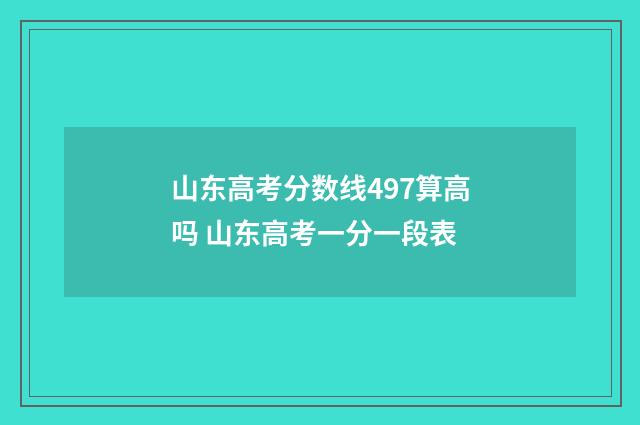 山东高考分数线497算高吗 山东高考一分一段表