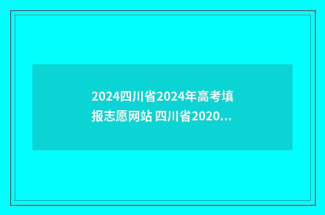 2024四川省2024年高考填报志愿网站 四川省2020下半年