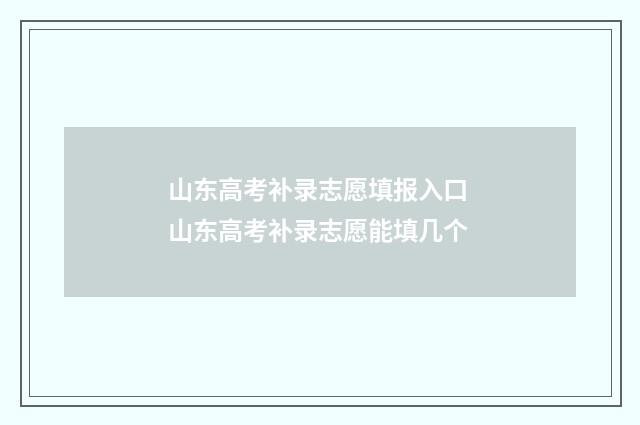山东高考补录志愿填报入口 山东高考补录志愿能填几个