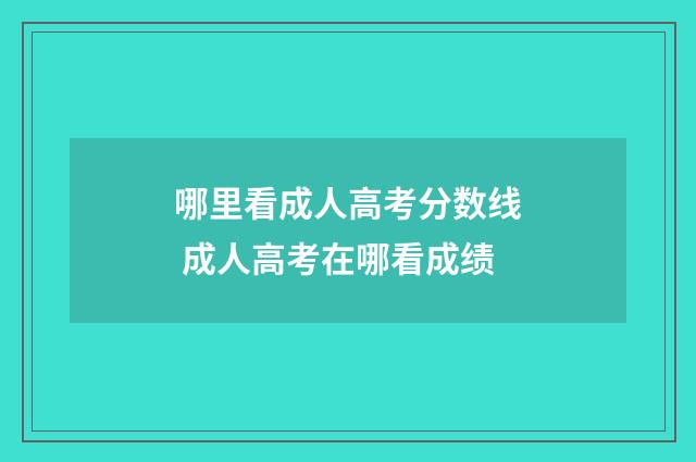 哪里看成人高考分数线 成人高考在哪看成绩