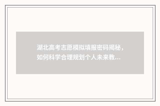 湖北高考志愿模拟填报密码揭秘，如何科学合理规划个人未来教育之路？ 湖北高考志愿模拟表图片