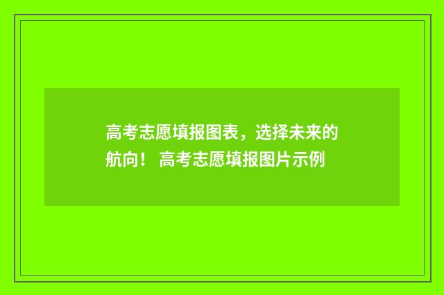 高考志愿填报图表，选择未来的航向！ 高考志愿填报图片示例