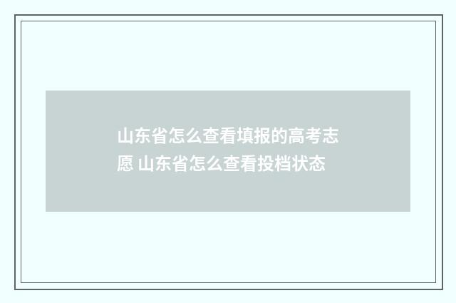 山东省怎么查看填报的高考志愿 山东省怎么查看投档状态