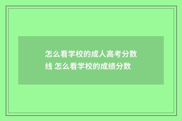 怎么看学校的成人高考分数线 怎么看学校的成绩分数