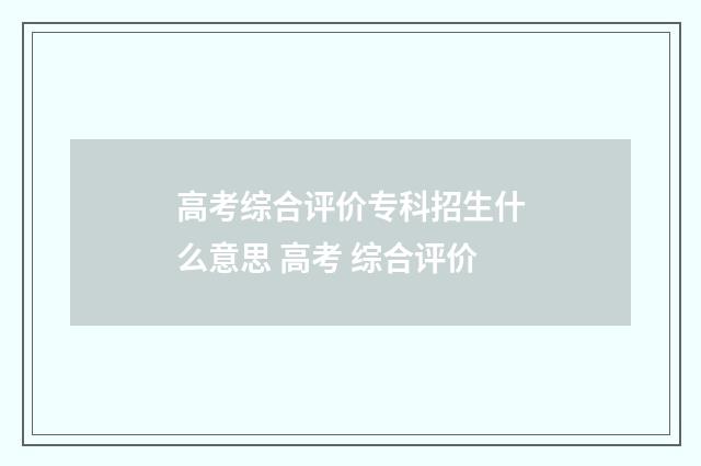 高考综合评价专科招生什么意思 高考 综合评价