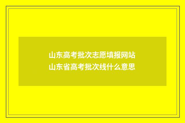山东高考批次志愿填报网站 山东省高考批次线什么意思