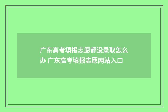 广东高考填报志愿都没录取怎么办 广东高考填报志愿网站入口