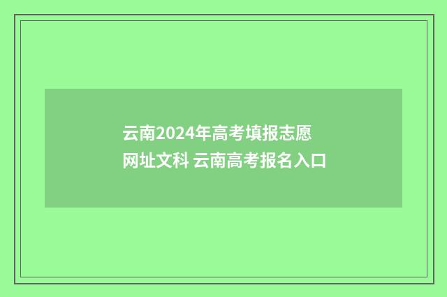 云南2024年高考填报志愿网址文科 云南高考报名入口