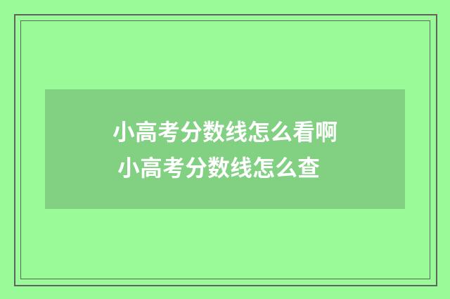 小高考分数线怎么看啊 小高考分数线怎么查