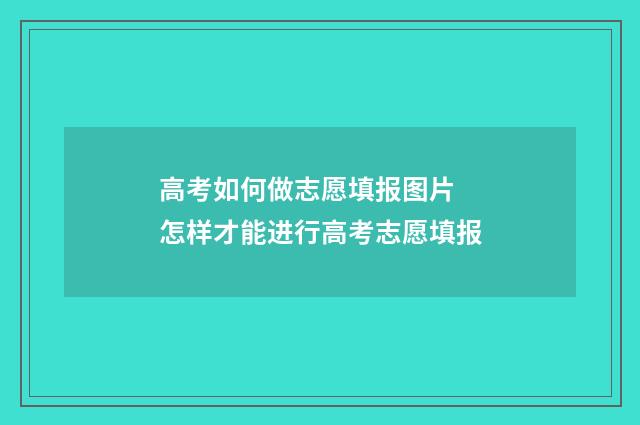 高考如何做志愿填报图片 怎样才能进行高考志愿填报