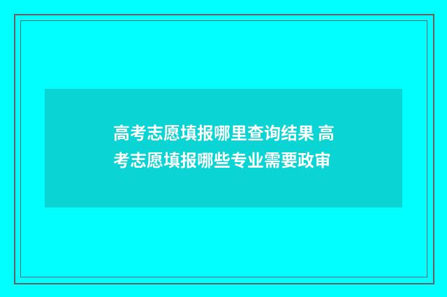 高考志愿填报哪里查询结果 高考志愿填报哪些专业需要政审