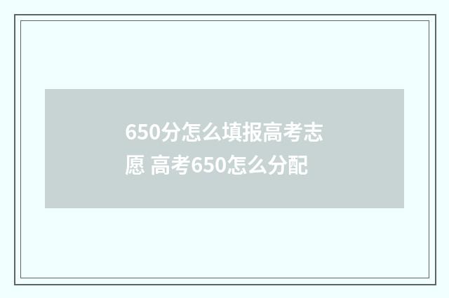 650分怎么填报高考志愿 高考650怎么分配