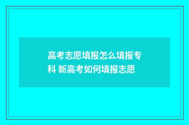 高考志愿填报怎么填报专科 新高考如何填报志愿