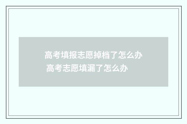 高考填报志愿掉档了怎么办 高考志愿填漏了怎么办