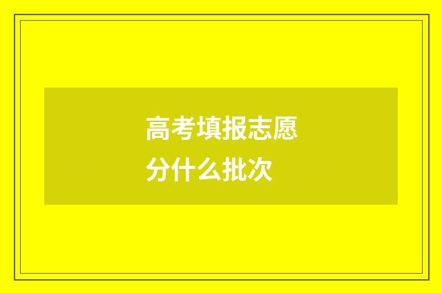 高考填报志愿分什么批次