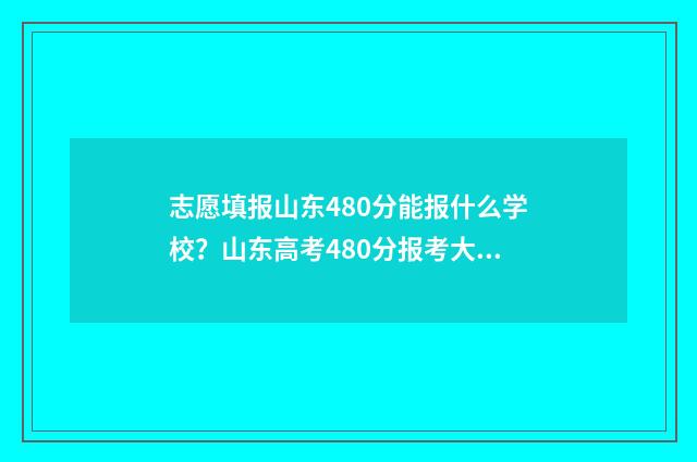 志愿填报山东480分能报什么学校？山东高考480分报考大学专业及院校推荐 志愿填报山东专科
