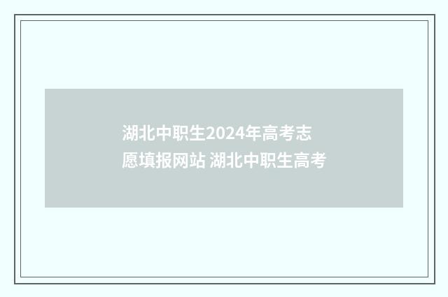 湖北中职生2024年高考志愿填报网站 湖北中职生高考