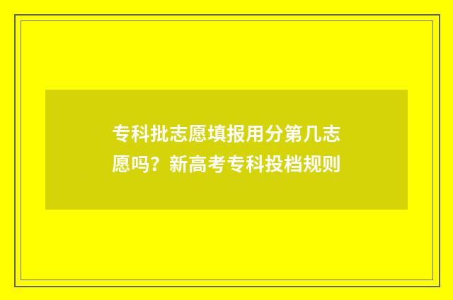 专科批志愿填报用分第几志愿吗？新高考专科投档规则