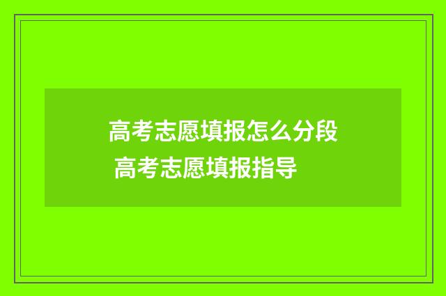 高考志愿填报怎么分段 高考志愿填报指导