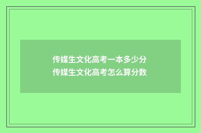 传媒生文化高考一本多少分 传媒生文化高考怎么算分数