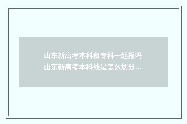 山东新高考本科和专科一起报吗 山东新高考本科线是怎么划分的