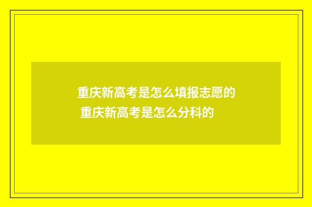 重庆新高考是怎么填报志愿的 重庆新高考是怎么分科的