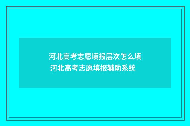河北高考志愿填报层次怎么填 河北高考志愿填报辅助系统